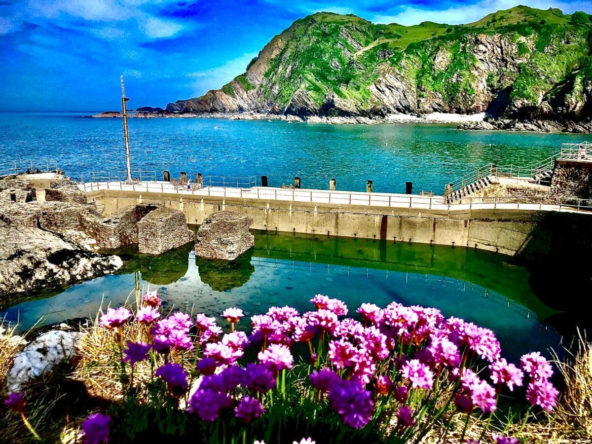 Palm Court B&B Ilfracombe Kültér fotó